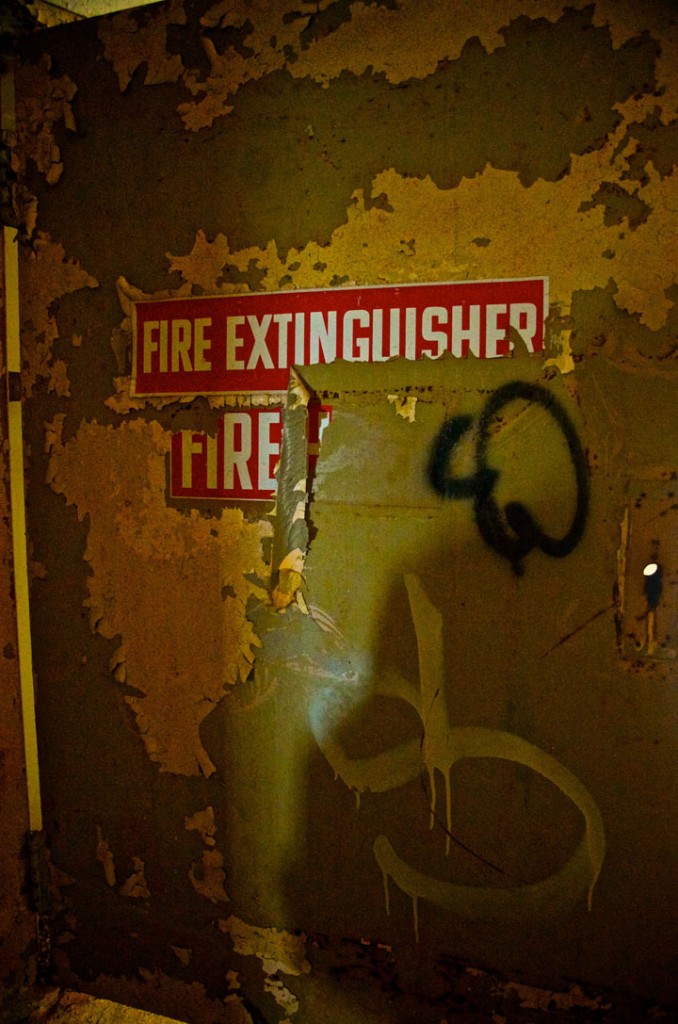 labananequiparle-asiles-abandonnes-new york-8