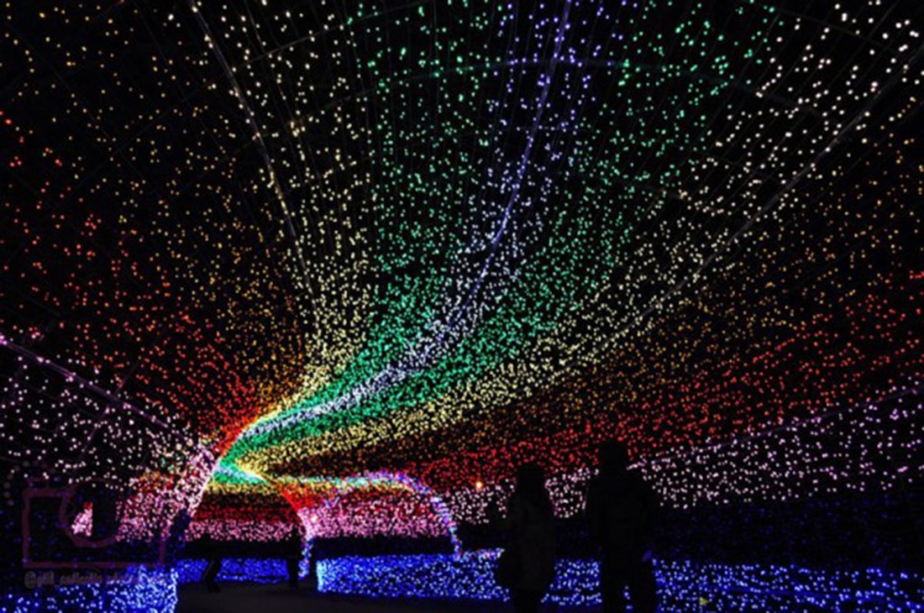 labananequiparle-nabano-no-sato-tunnel-of-lights-japan-600x398