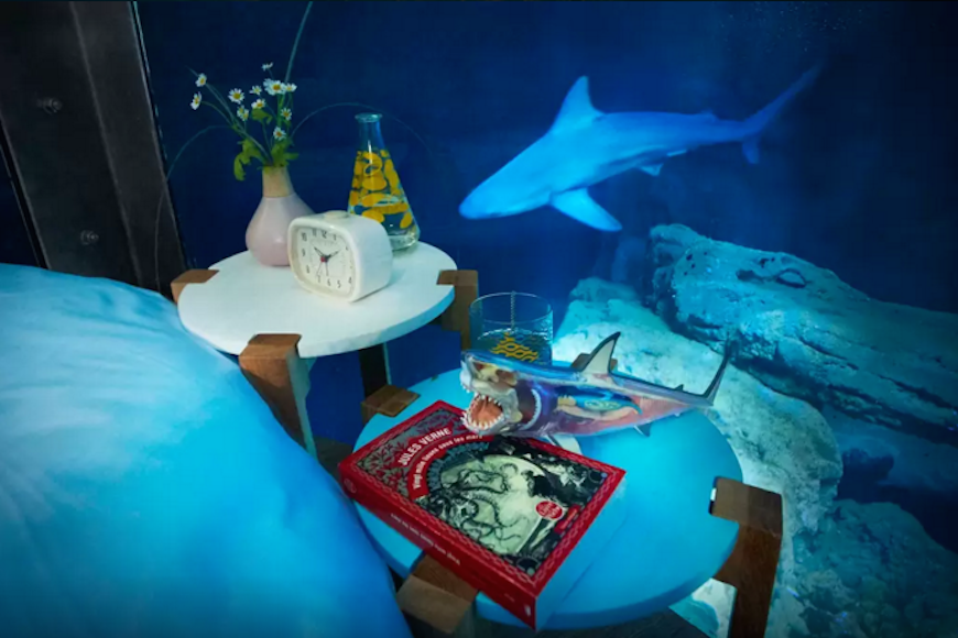 Passez-une-nuit-dans-l’Aquarium-de-Paris-au-milieu-de-35-requins-3