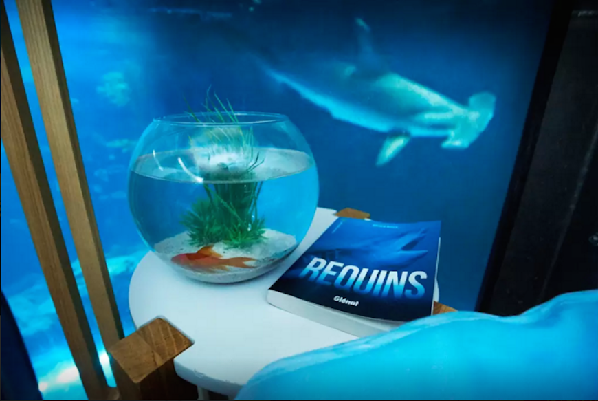 Passez-une-nuit-dans-l’Aquarium-de-Paris-au-milieu-de-35-requins-4