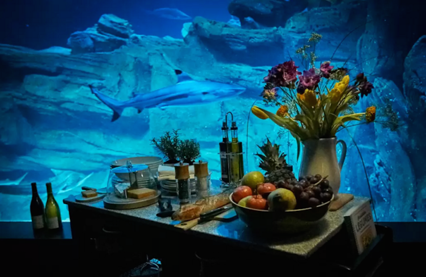 Passez-une-nuit-dans-l’Aquarium-de-Paris-au-milieu-de-35-requins-5